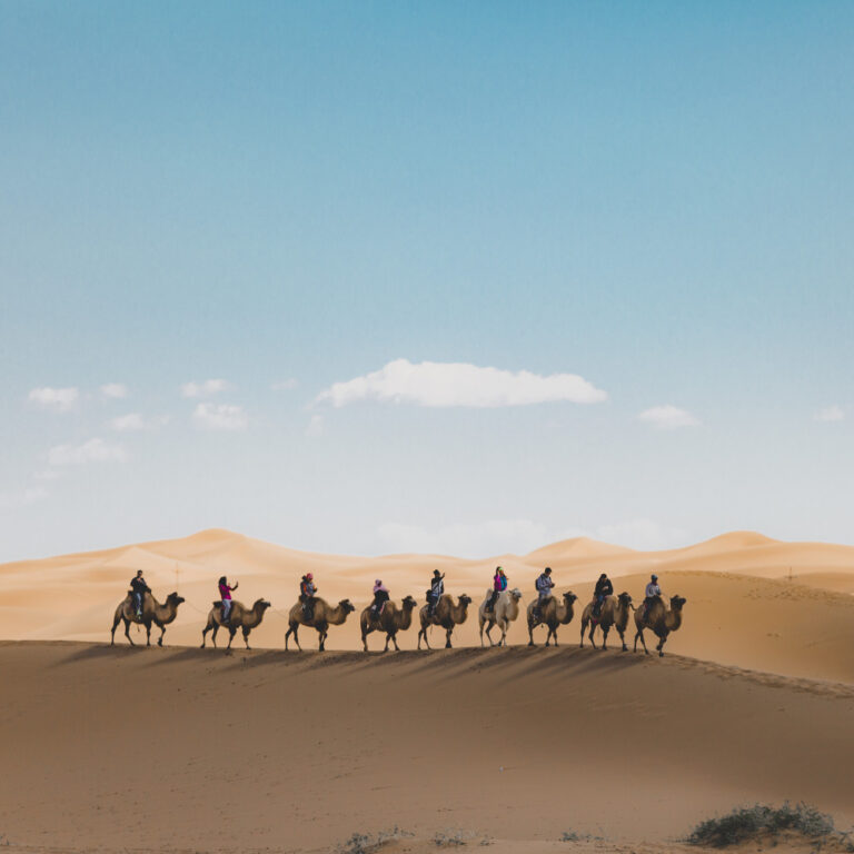 Passeios em Doha: o que fazer na capital do Catar