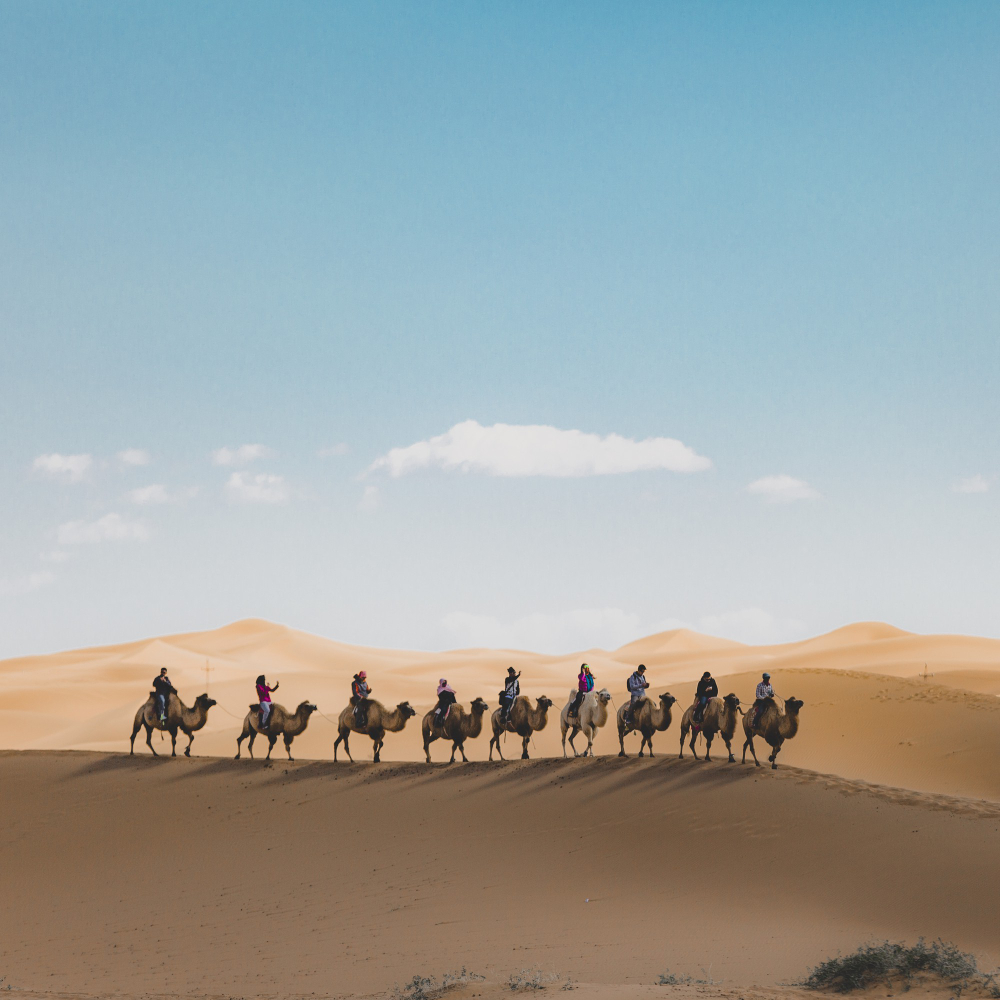 Passeios em Doha