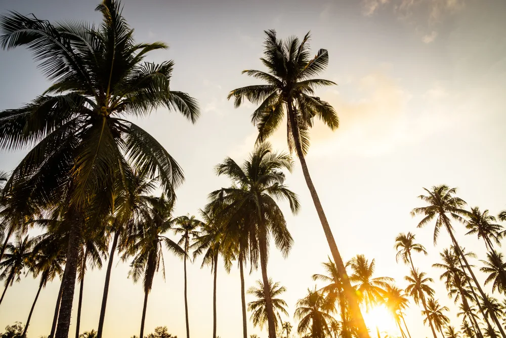 dicas de viagem para Itacaré
