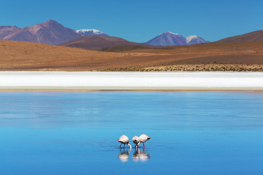 passeios em San Pedro de Atacama