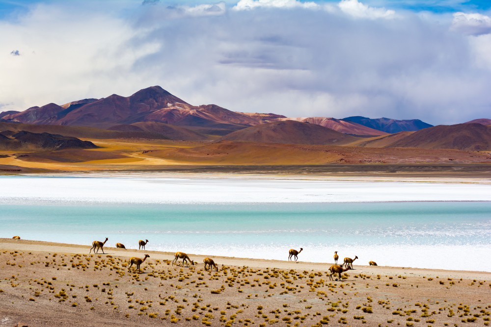 dicas de viagem para San Pedro de Atacama