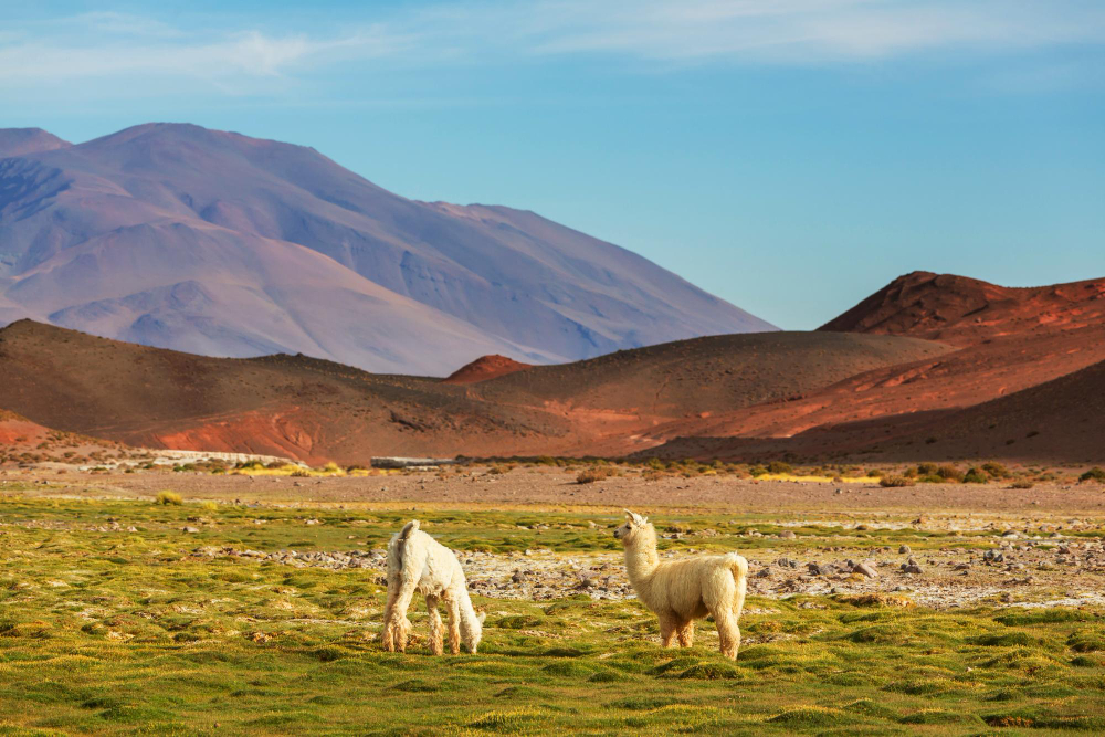 o que fazer em Cusco