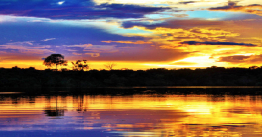 No coração da Floresta Amazônica, com pensão completa e opções de estadia com vista panorâmica. A viagem dos sonhos está no Zarpo. Reserve já!