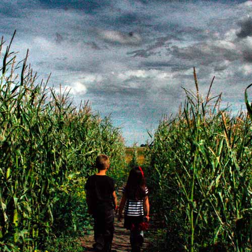 Calgary Corn Maze & Fun Farm