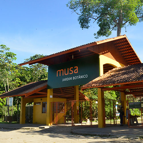MUSA (Jardim Botânico)