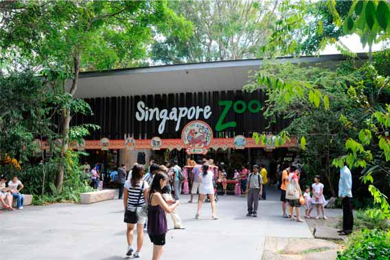 Zoológico de Singapura