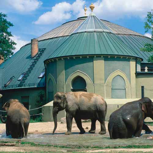 Zoológico Tierpark Hellabrunn
