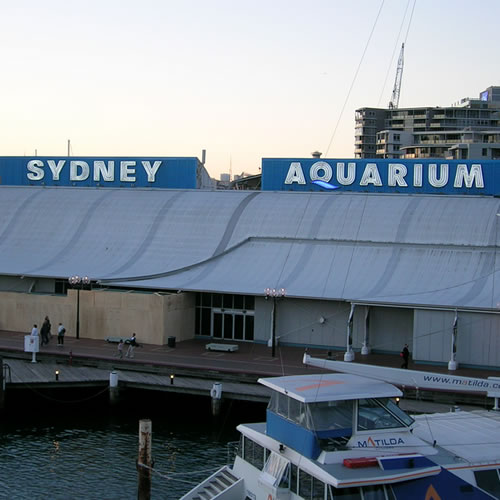 Aquário de Sydney