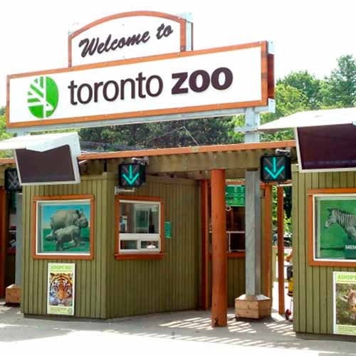 Zoológico de Toronto