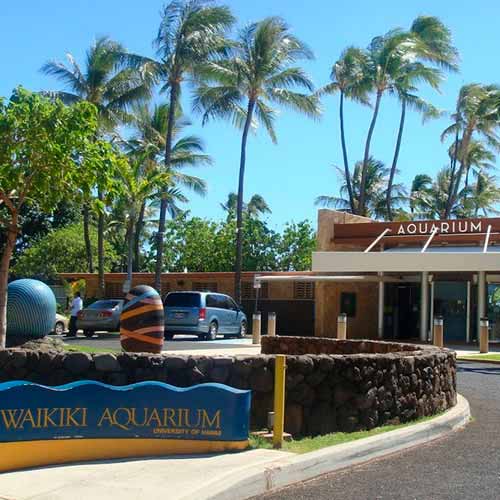 Aquário Waikiki